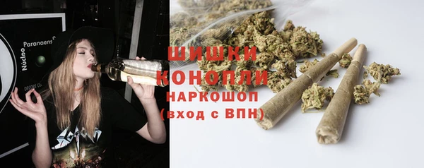 spice Арсеньев