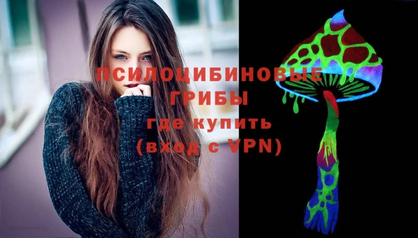 spice Арсеньев