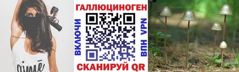 это как зайти Новый Уренгой Псилоцибиновые грибы Magic Shrooms где найти наркотики